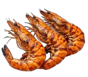 Königsgarnelen Tandoori